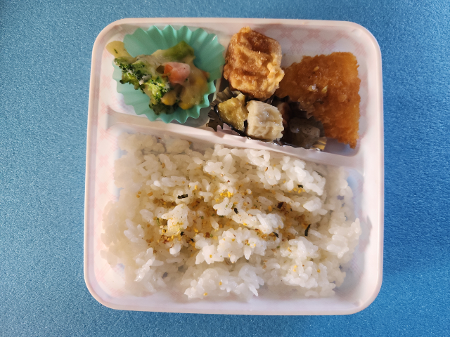 �����f������ �c�t���E�ۈ牀�̋��H2026�N01��13�� by�������΂���