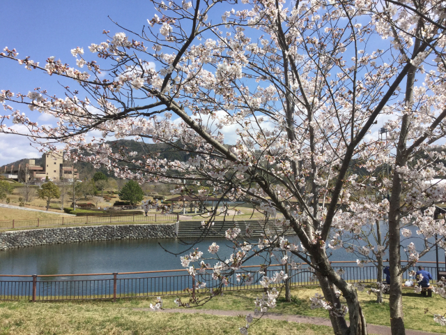 音香’s畑♪ 飯塚市仁保 筑豊緑地 7 byおかずばたけ