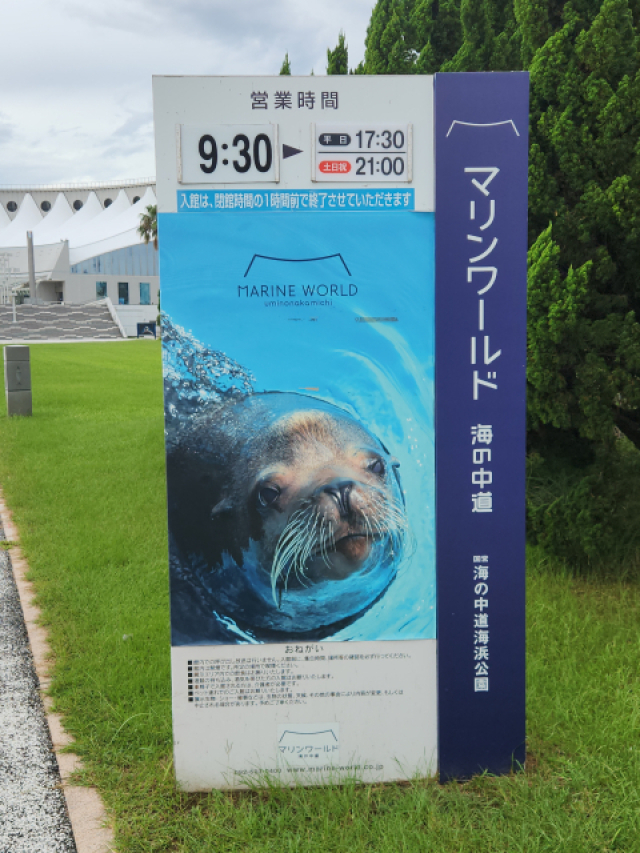 f s搼ˍ }[hC̒ 8 by΂
