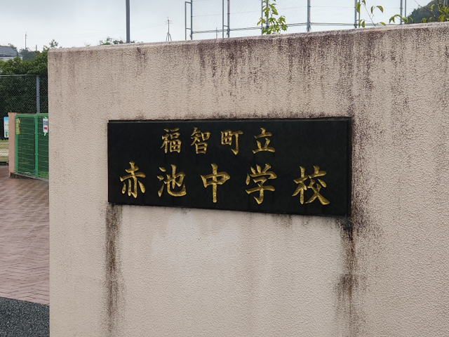 f cSqs qԒrwZ 5 by΂