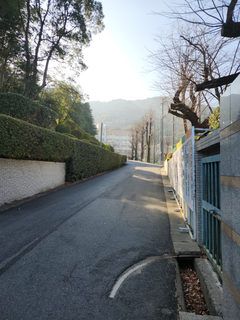 �����f������ �k��B�s�������挳�钬 ���������������������w�Z 6 by�������΂���