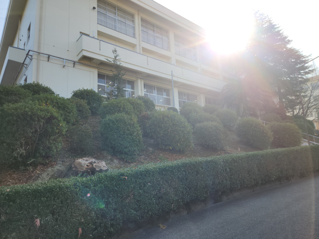 �����f������ �k��B�s�������挳�钬 ���������������������w�Z 7 by�������΂���